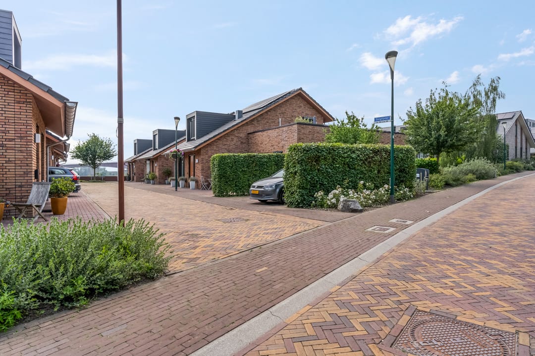 Photo 38 of Zanglijster 90