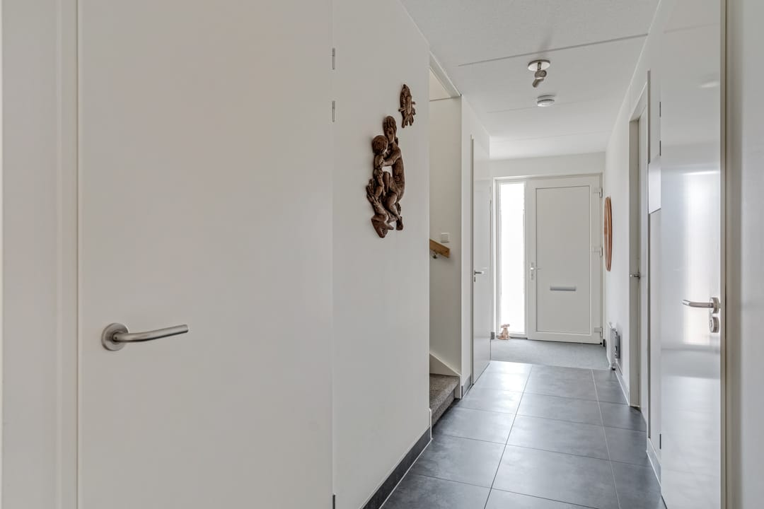 Photo 7 of Zanglijster 90