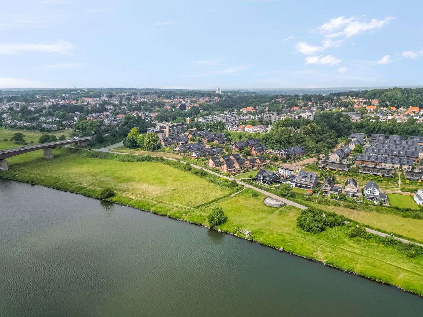 Photo 4 of Zanglijster 90