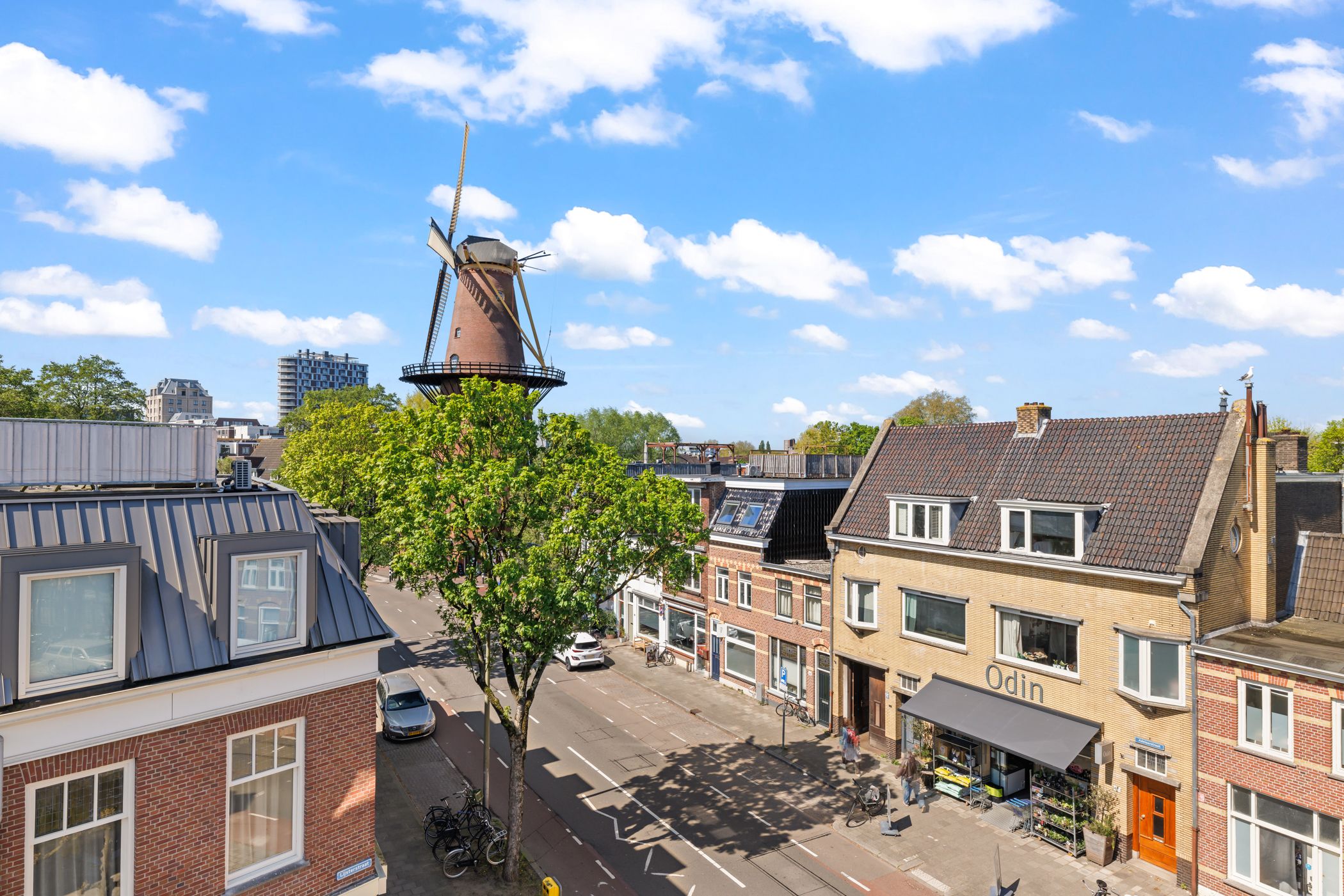 Foto 48 van Lijsterstraat 119