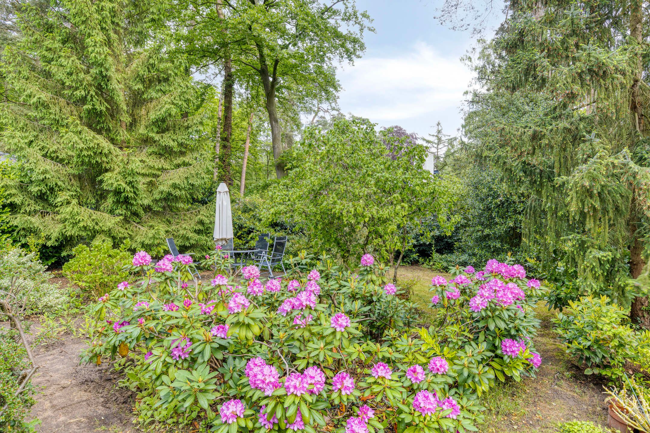 Photo 39 of Dennenlaan 1