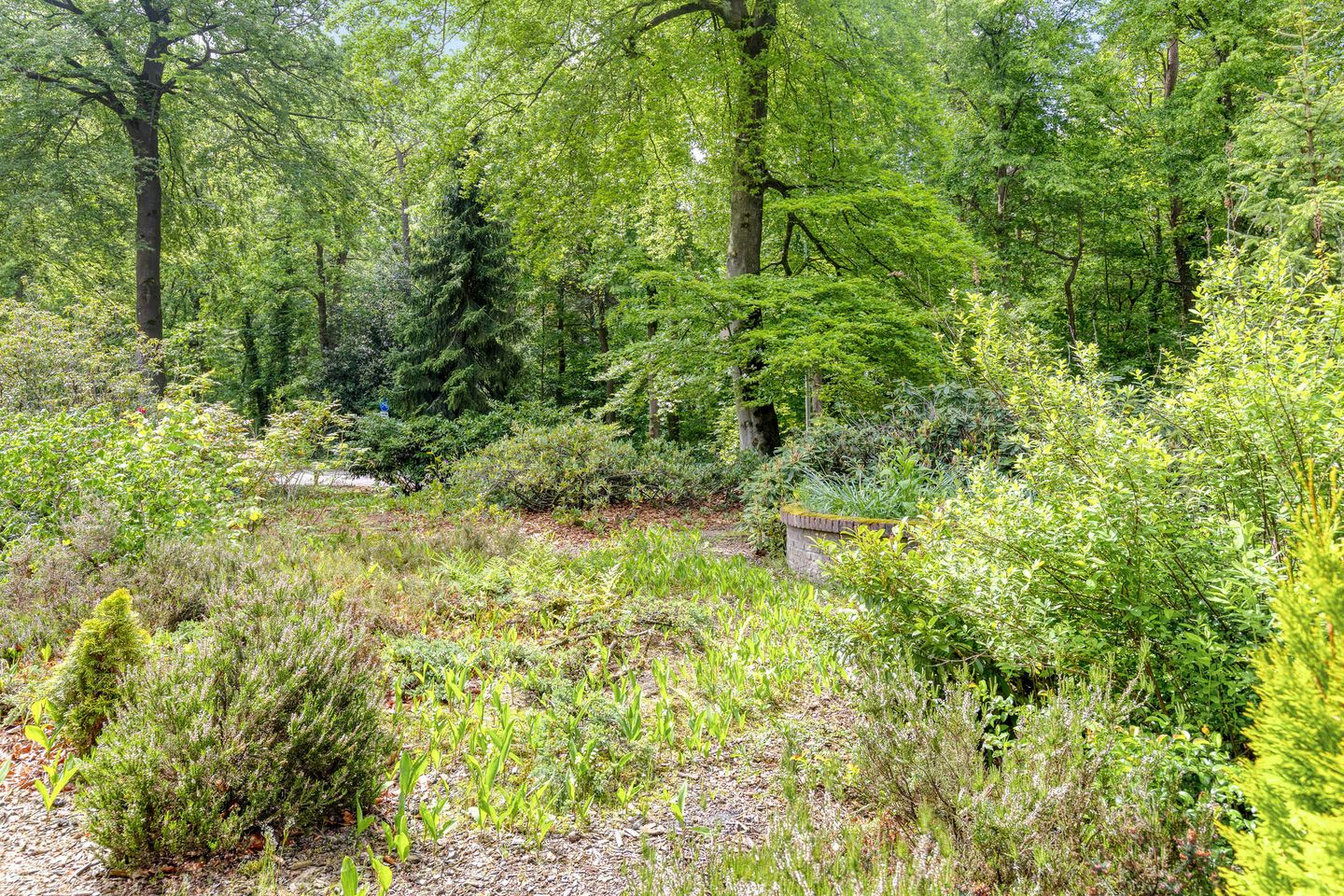 Photo 35 of Dennenlaan 1