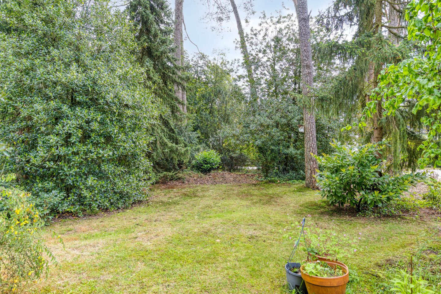 Photo 40 of Dennenlaan 1