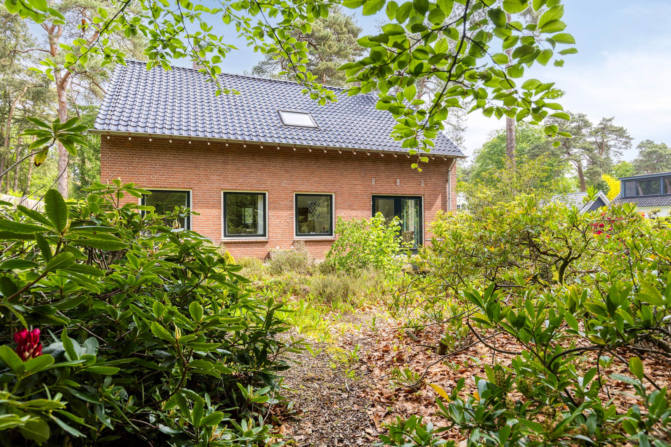 Photo 36 of Dennenlaan 1