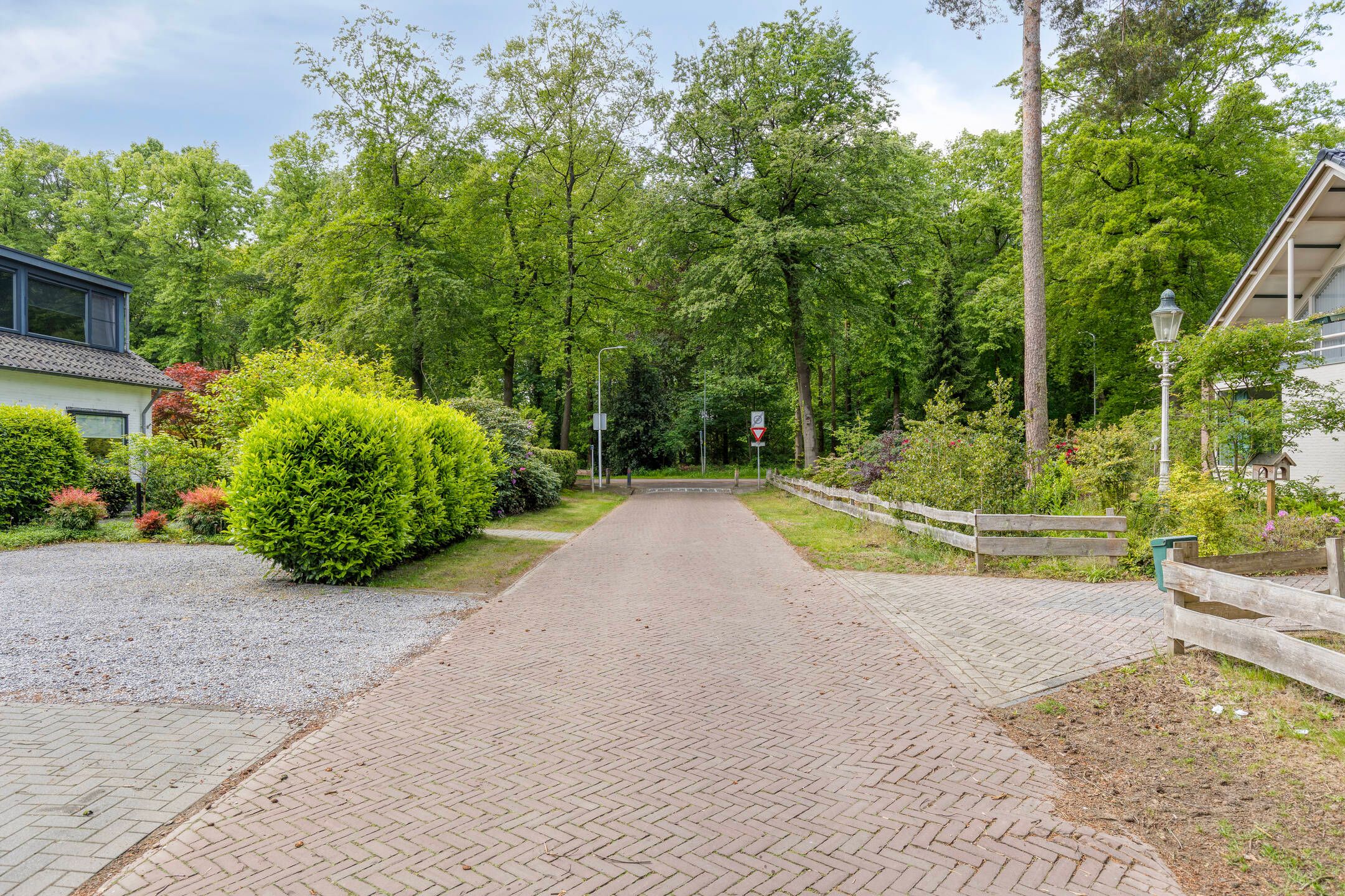 Photo 45 of Dennenlaan 1