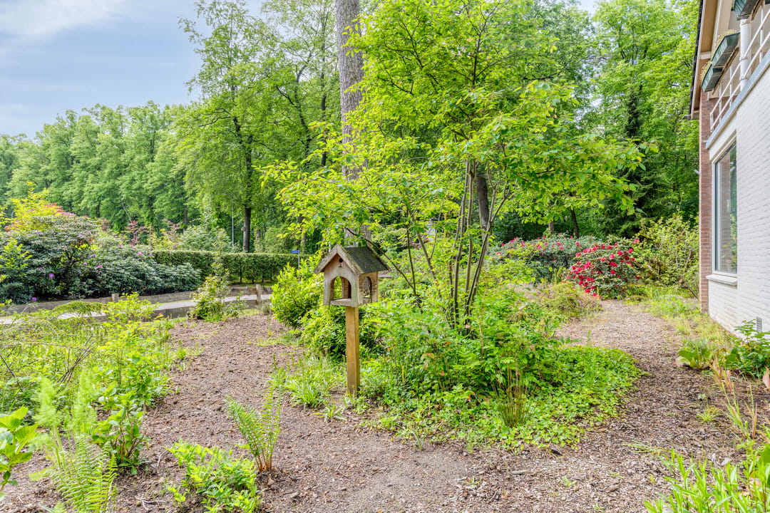 Photo 32 of Dennenlaan 1