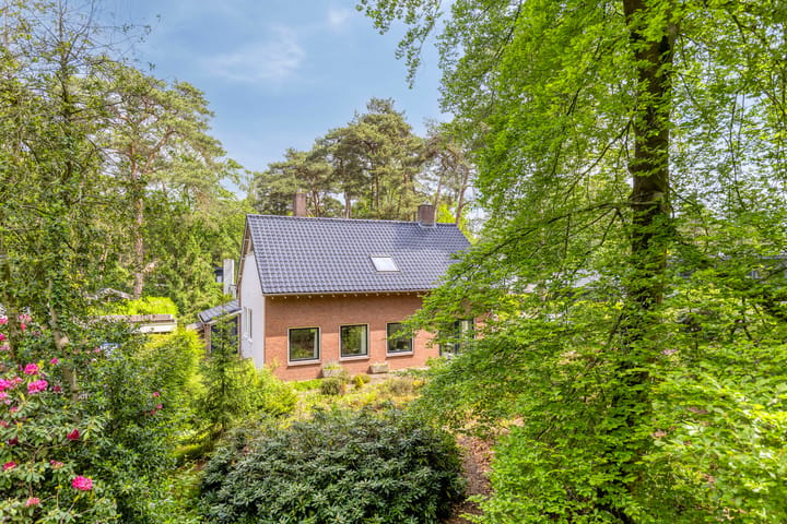 Photo 4 of Dennenlaan 1