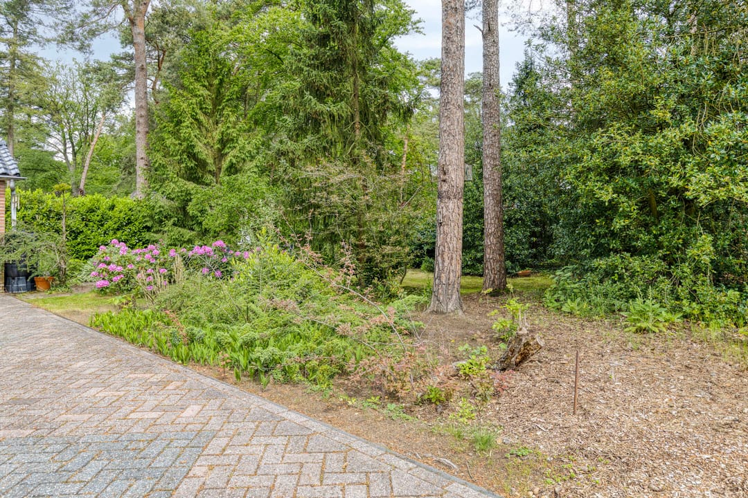 Photo 38 of Dennenlaan 1