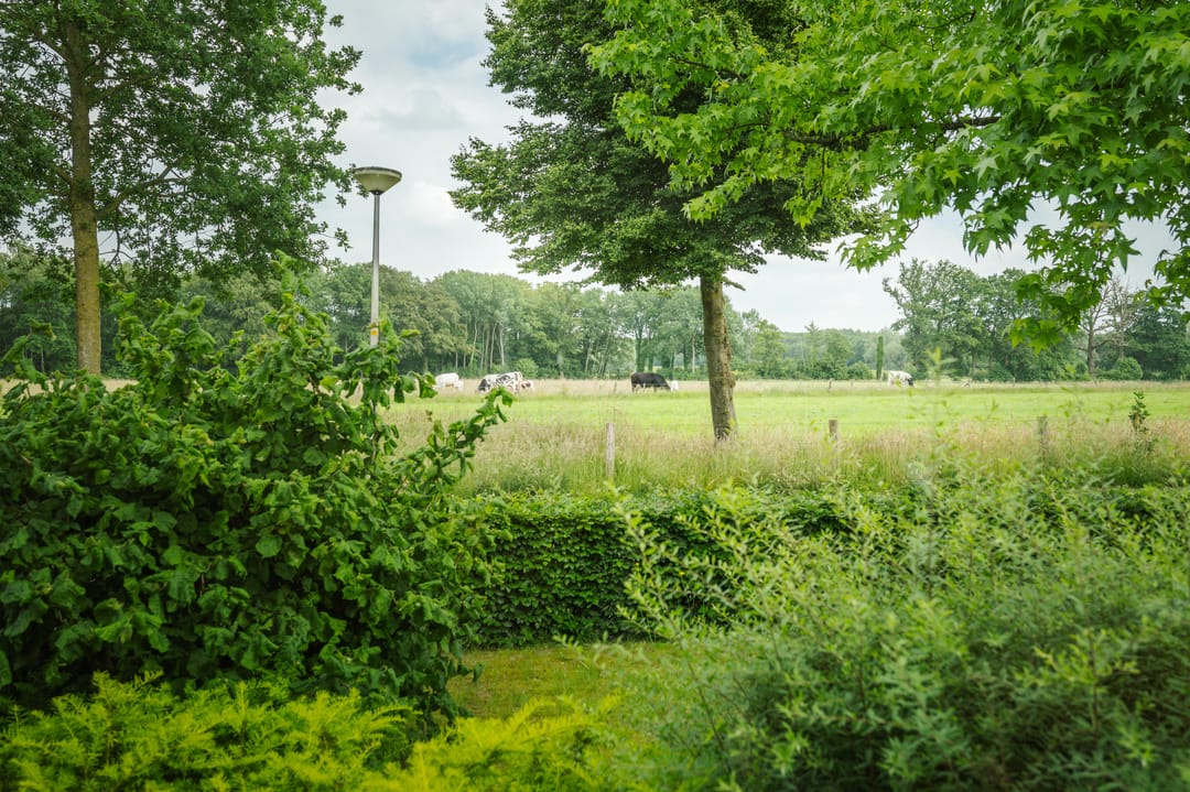 Foto 32 van Anna Reynvaanstraat 26