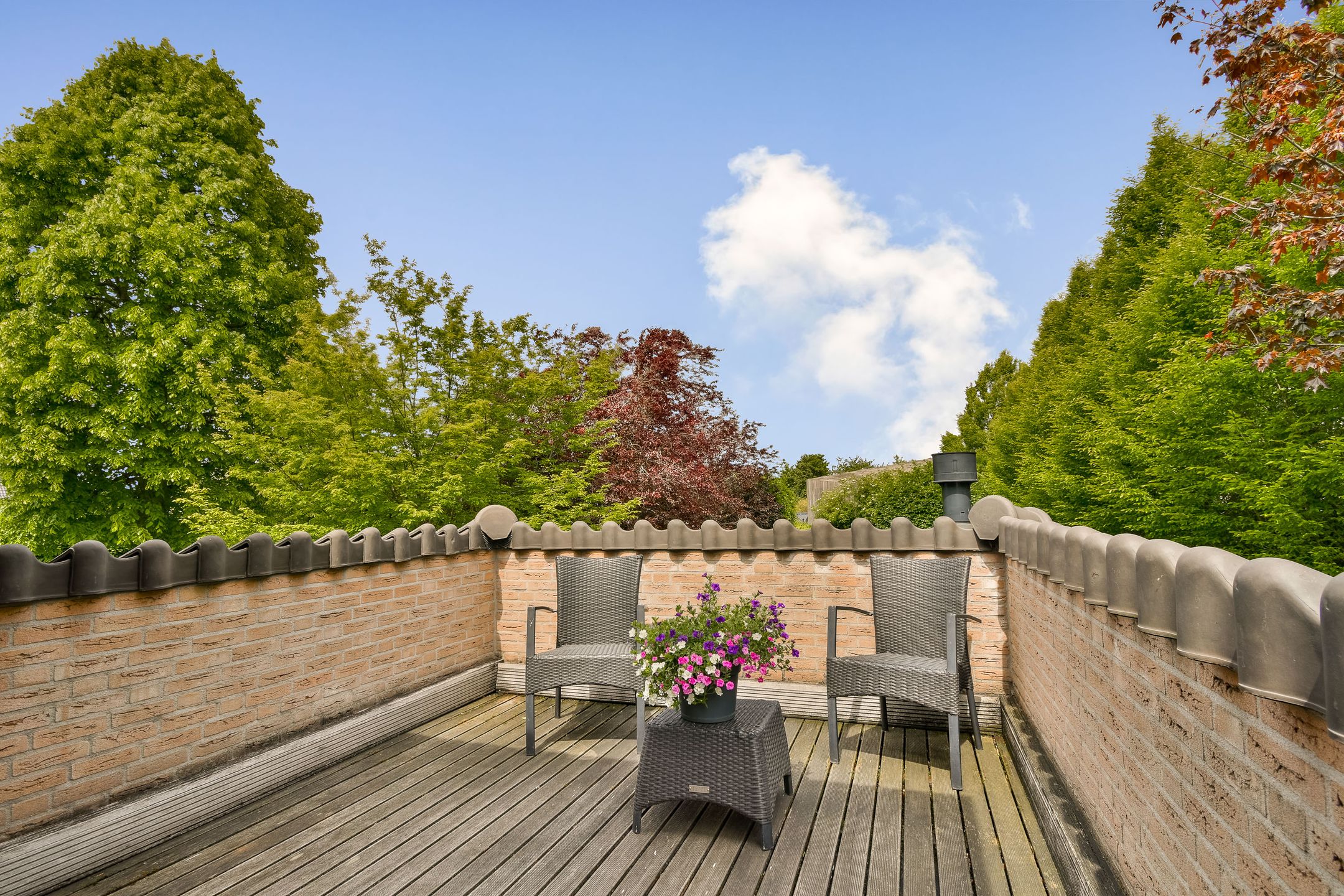Photo 27 of Dubbelsteynlaan West 50