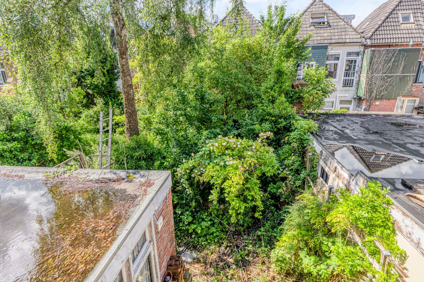 Photo 34 of Riouwstraat 44