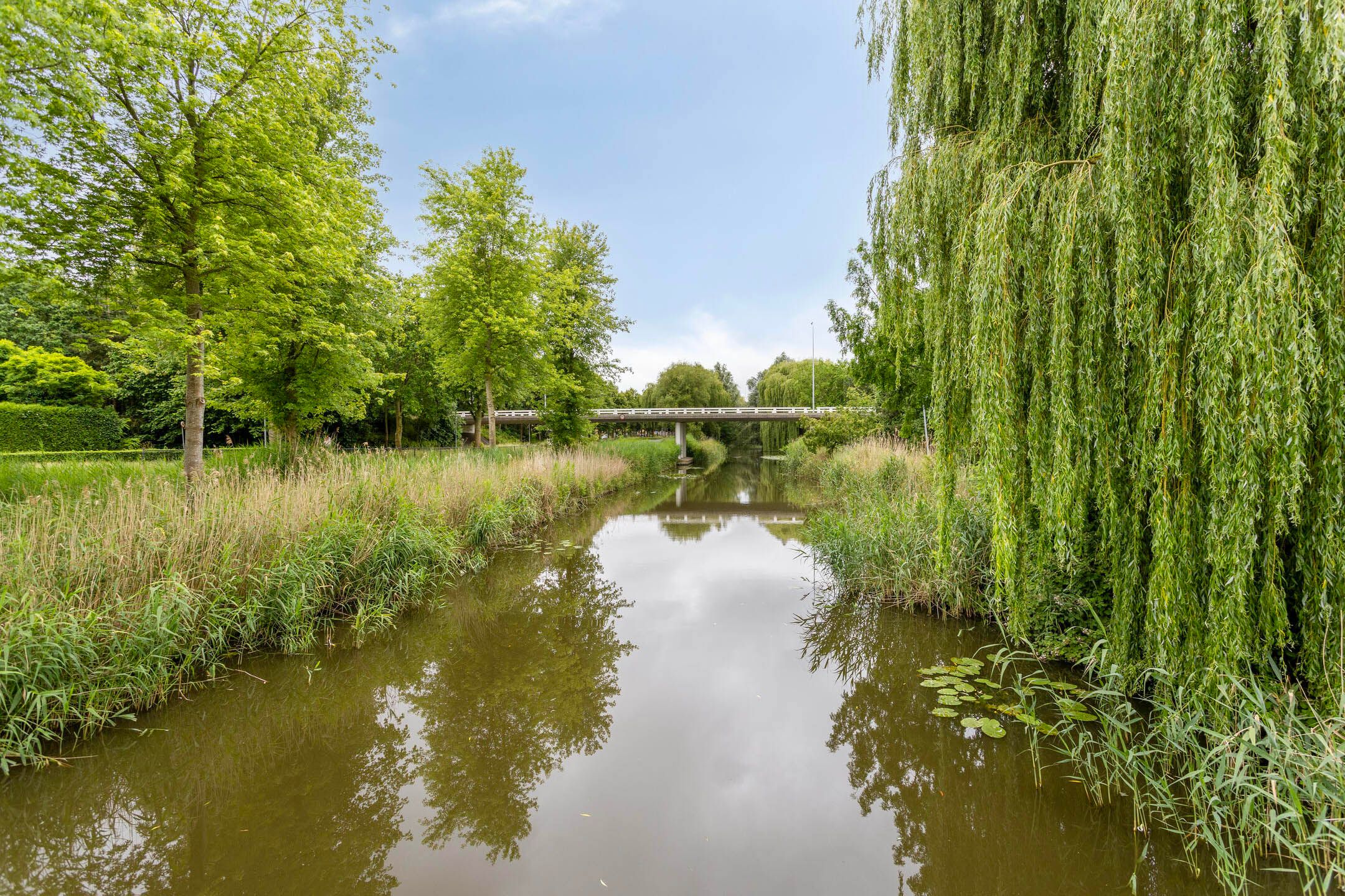 Photo 39 of Ommelandvaart 12