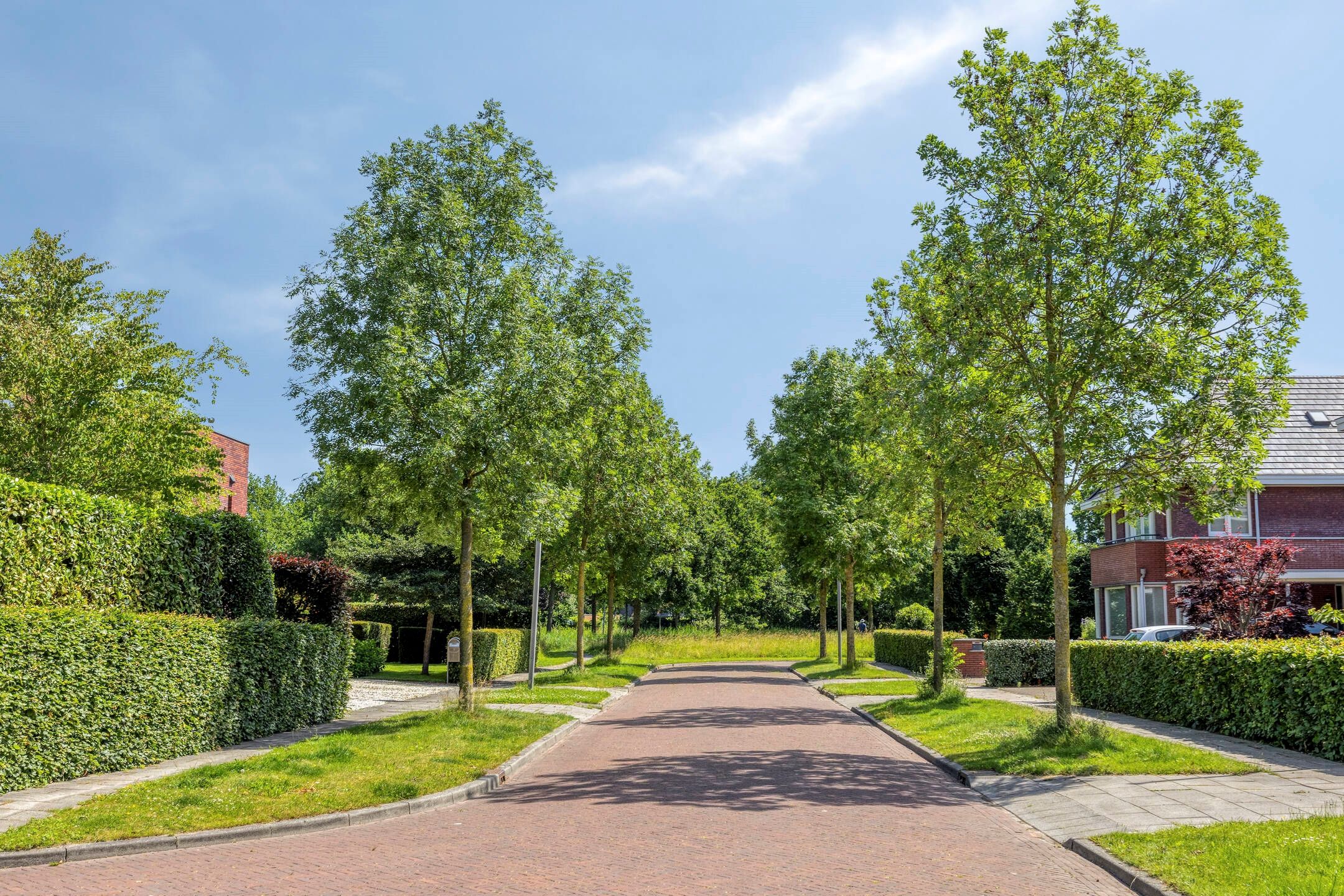 Photo 36 of Willem Plojterlaan 26