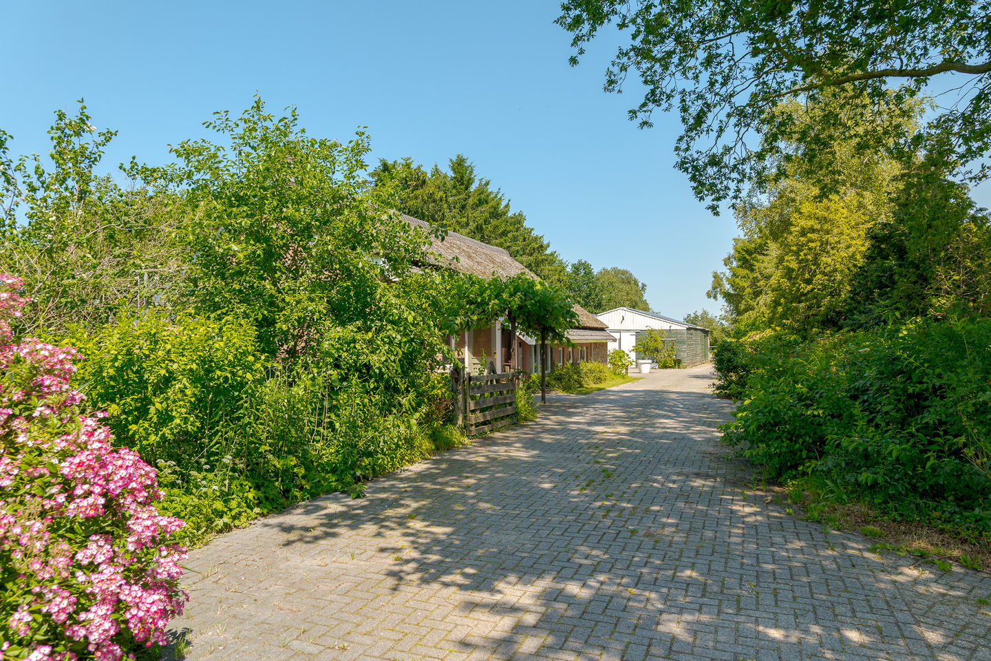 Photo 79 of Oude Toldijk 1