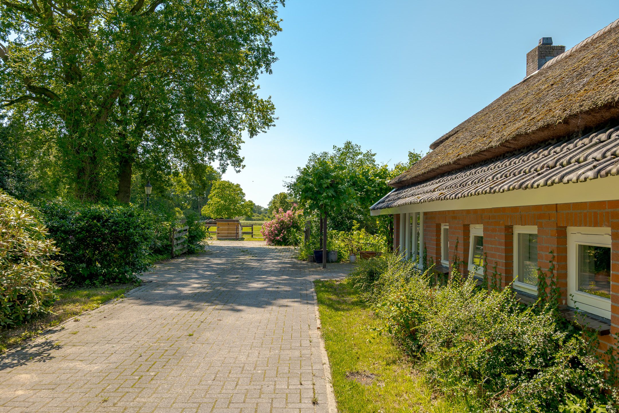 Photo 72 of Oude Toldijk 1
