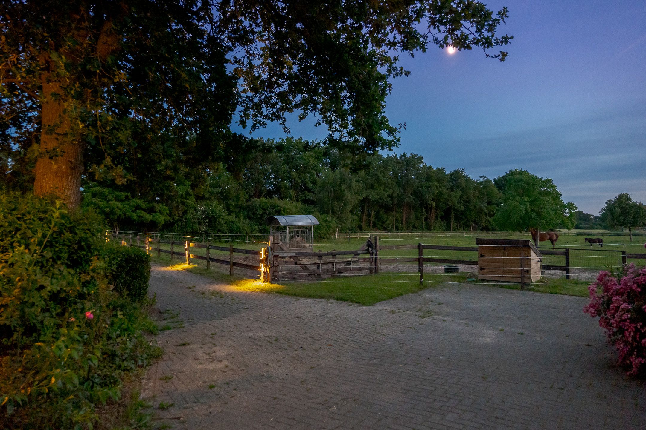 Photo 84 of Oude Toldijk 1