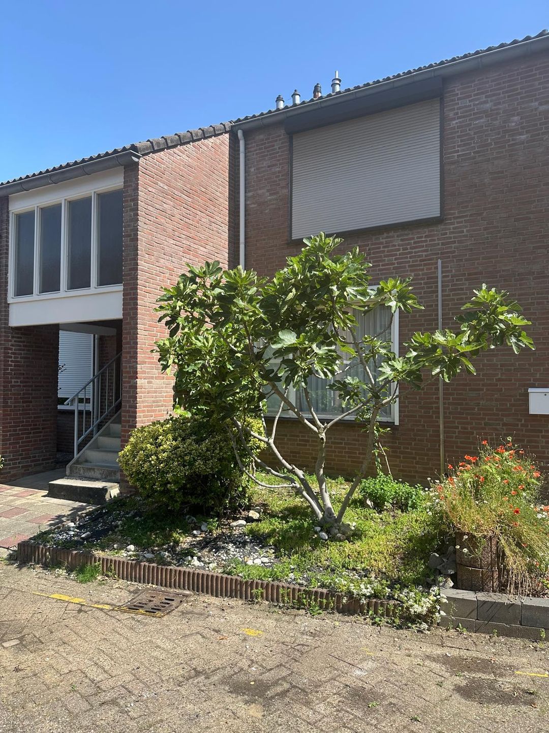 Foto 2 van Groen van Prinstererstraat 24