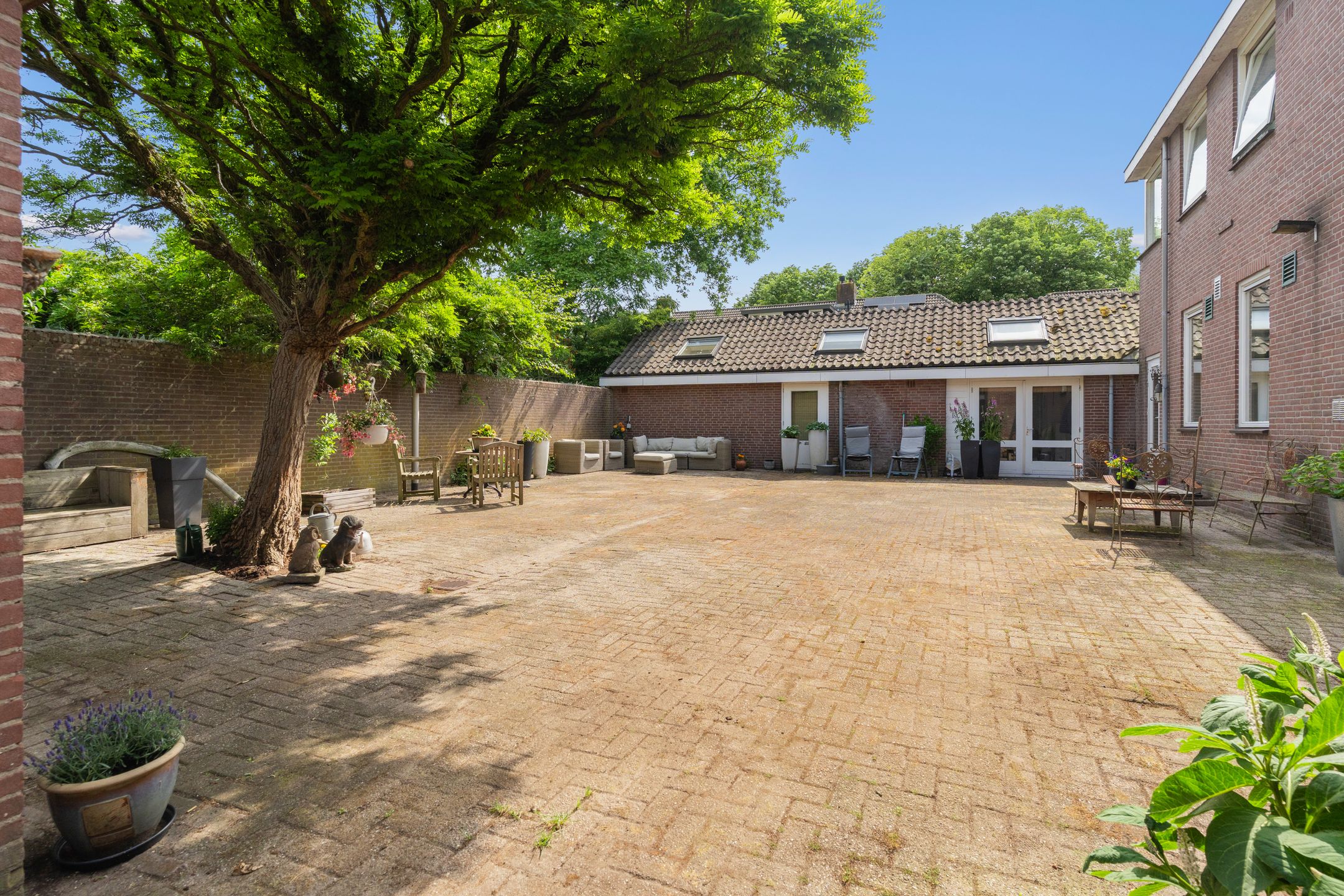 Photo 3 of Dierenriem 11