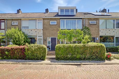 Dotterbloemstraat thumbnail
