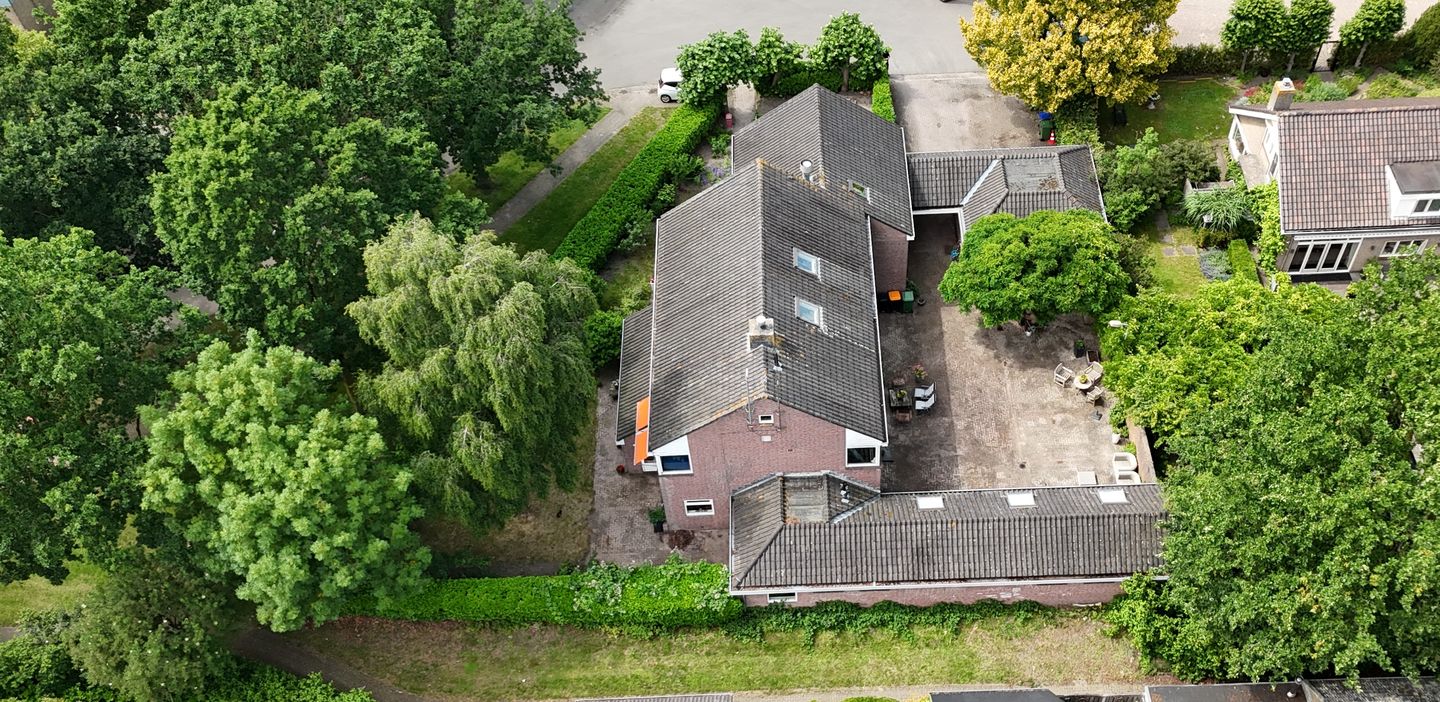 Photo 59 of Dierenriem 11