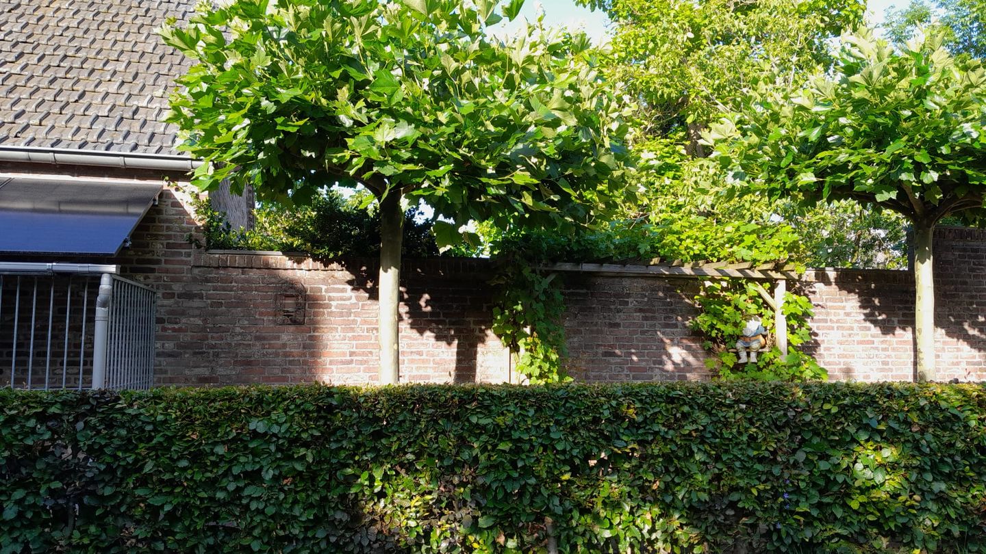 Photo 59 of Pastoor van Schijndelstraat 8