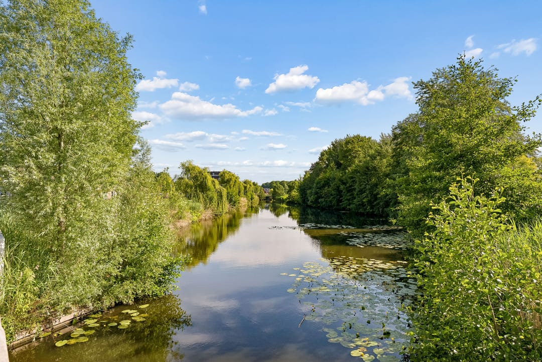 Photo 37 of Leemwierde 80