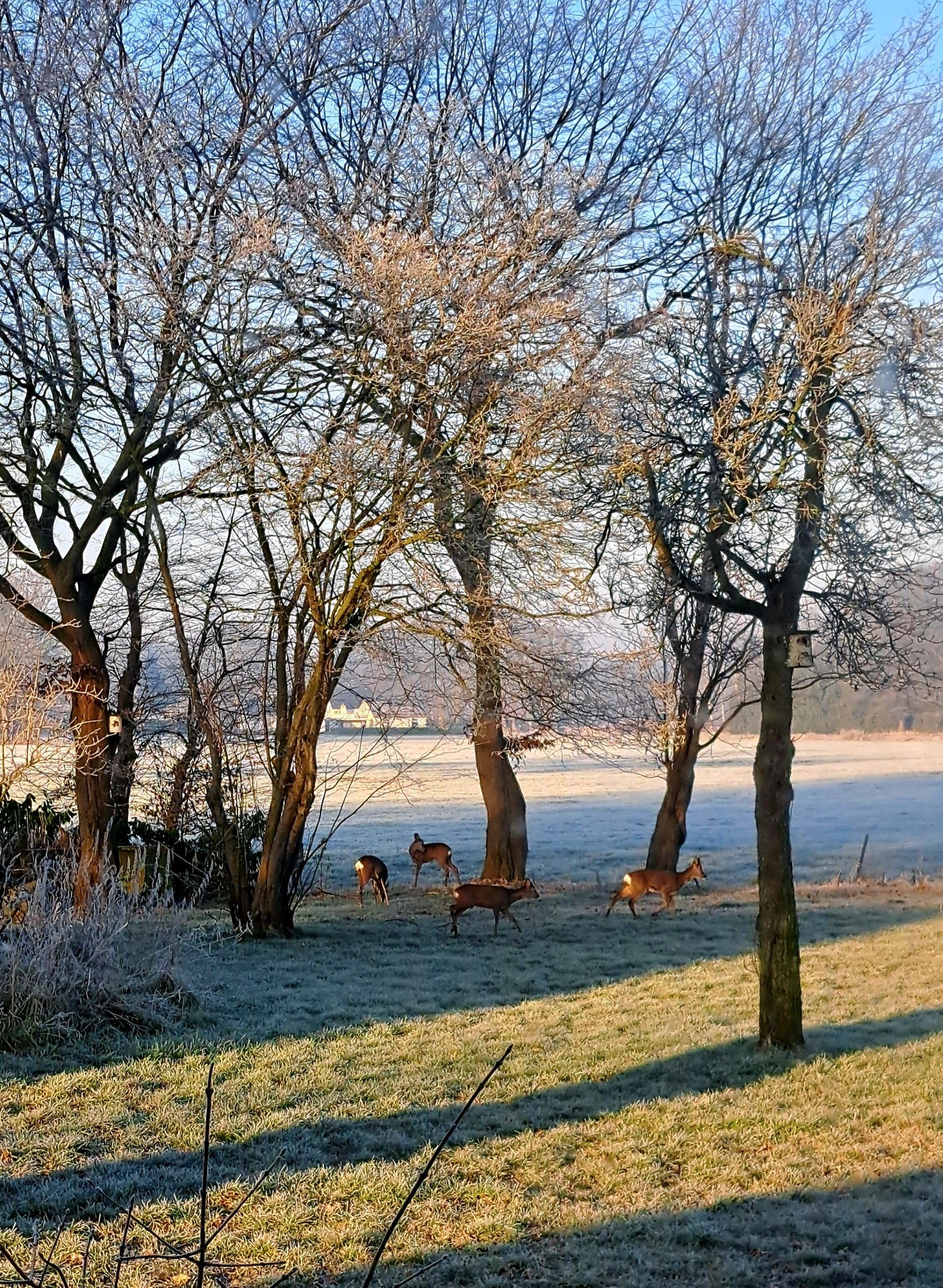 Photo 48 of Hogeveldweg 199