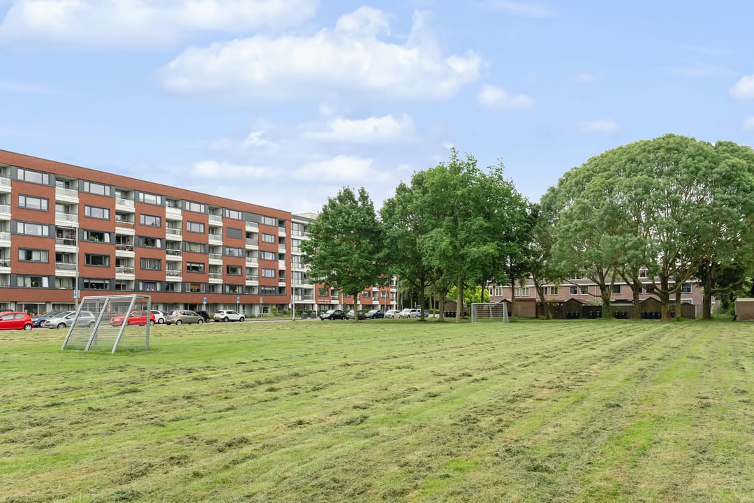 Foto 41 van Zevenoord 11