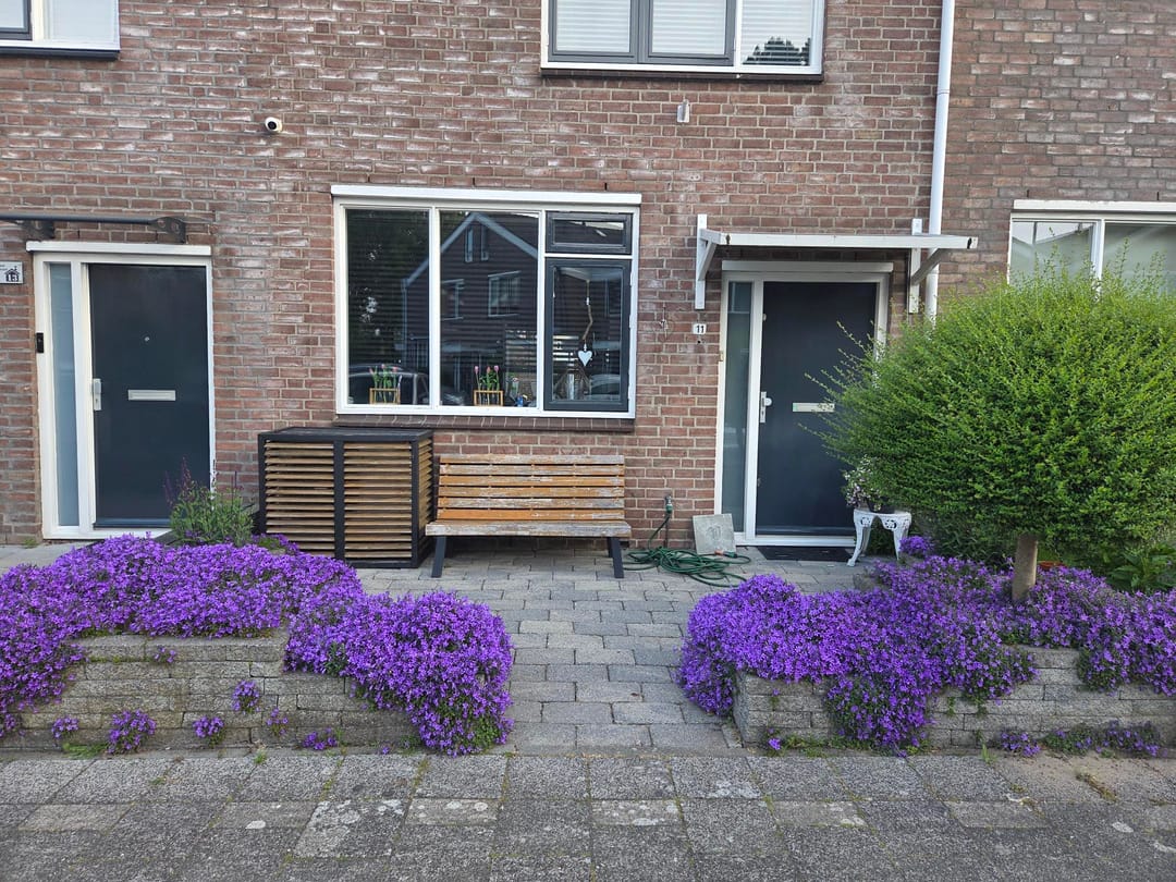 Foto 7 van Zevenoord 11