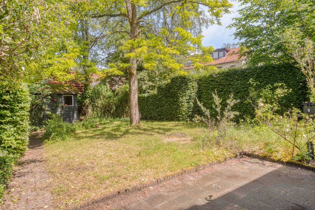 Photo 43 of Albert Cuypstraat 1