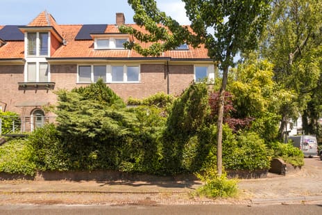 Albert Cuypstraat thumbnail