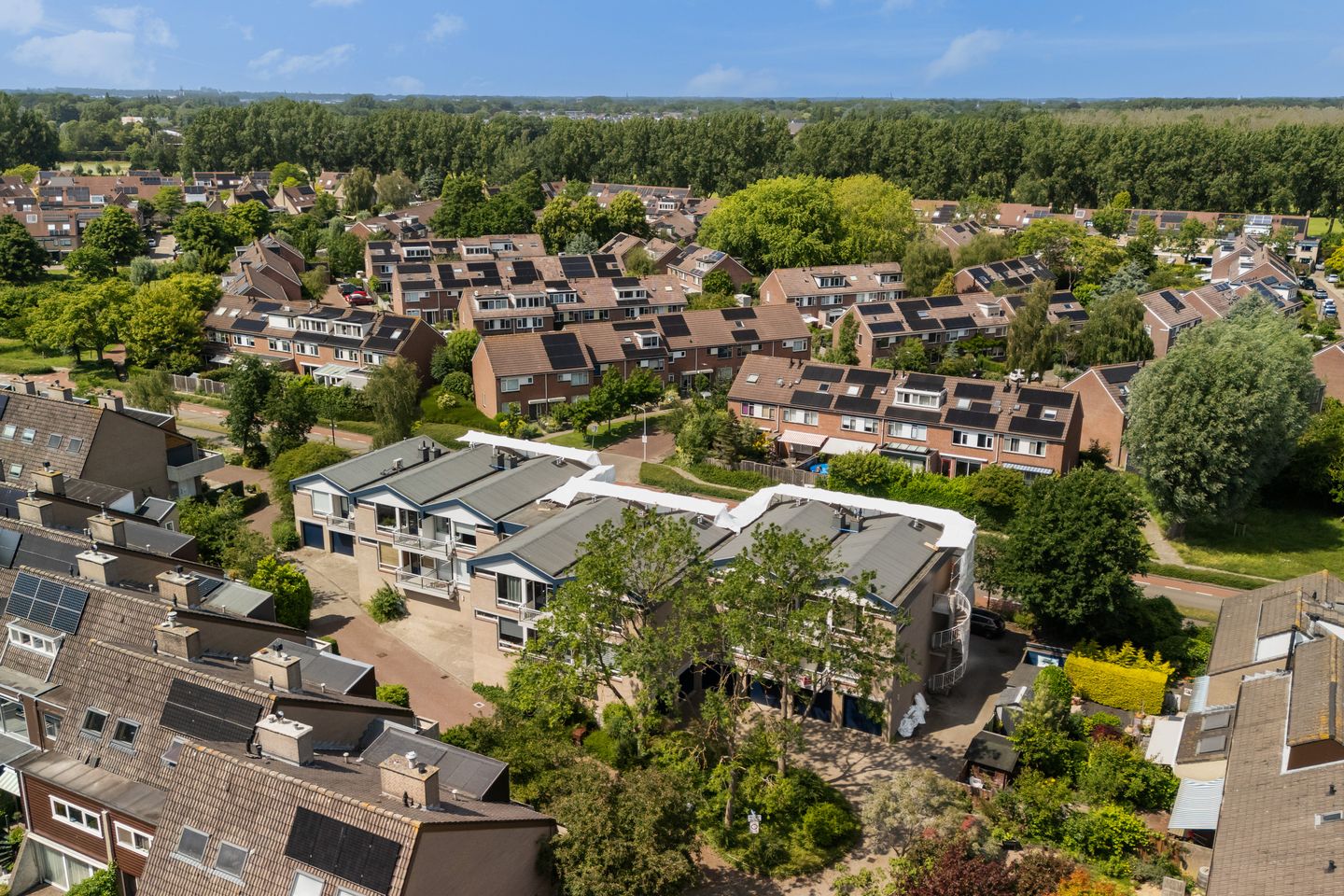 Foto 44 van Hommelveld 77