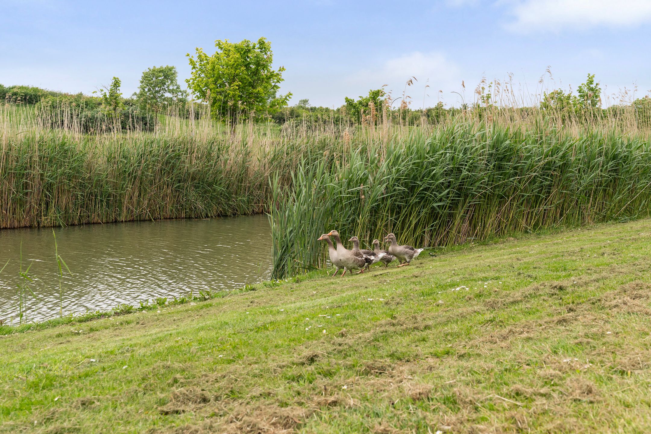 Photo 33 of Vrijenburglaan 275