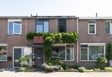Primulaveld thumbnail