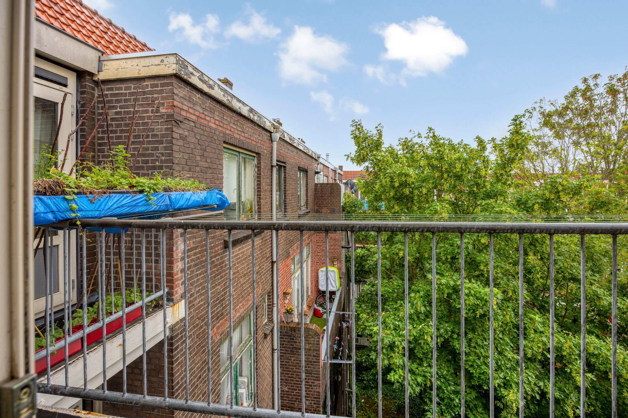 Foto 15 van Wolphaertsbocht 393-B02