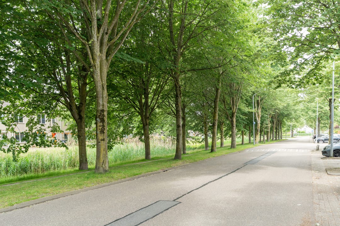 Photo 56 of Marga Klompésingel 26