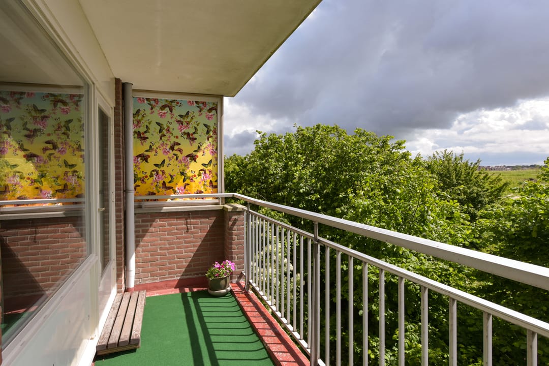 Photo 16 of Poolster 205