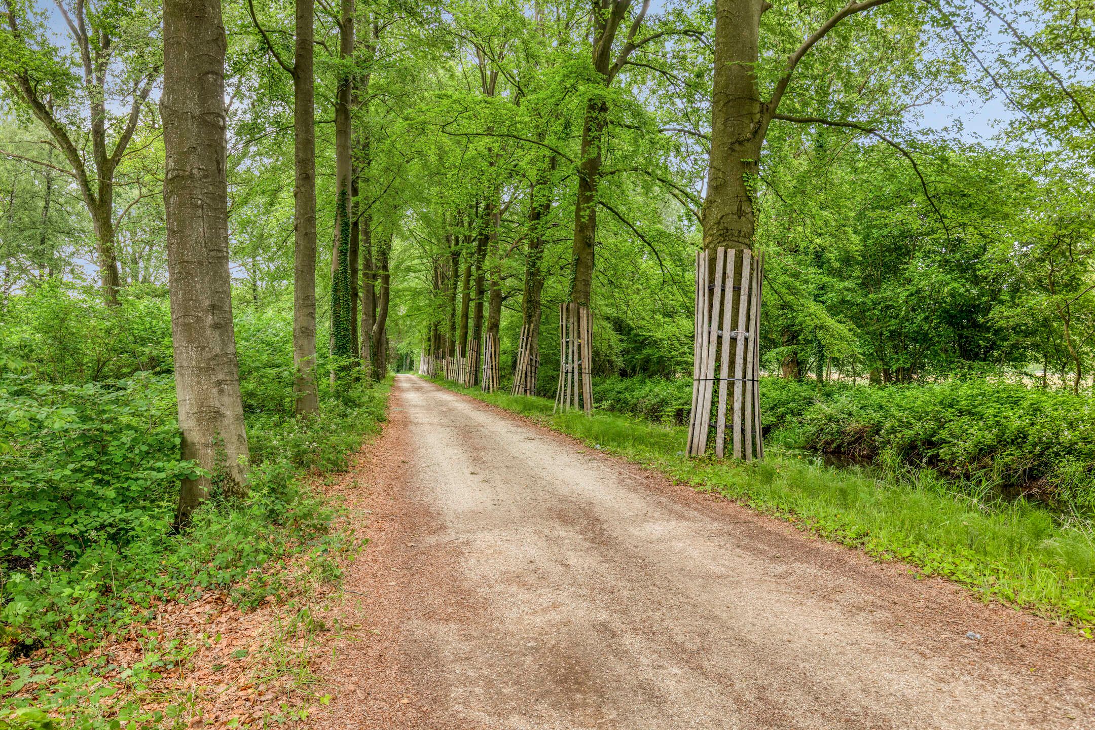 Photo 48 of Schoneveldsdijk 2