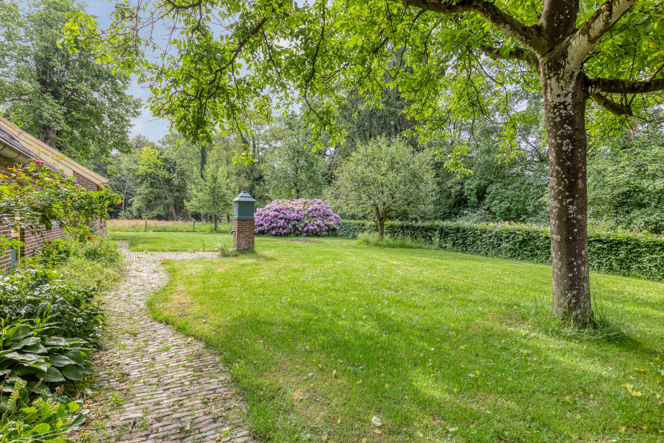 Photo 12 of Schoneveldsdijk 2