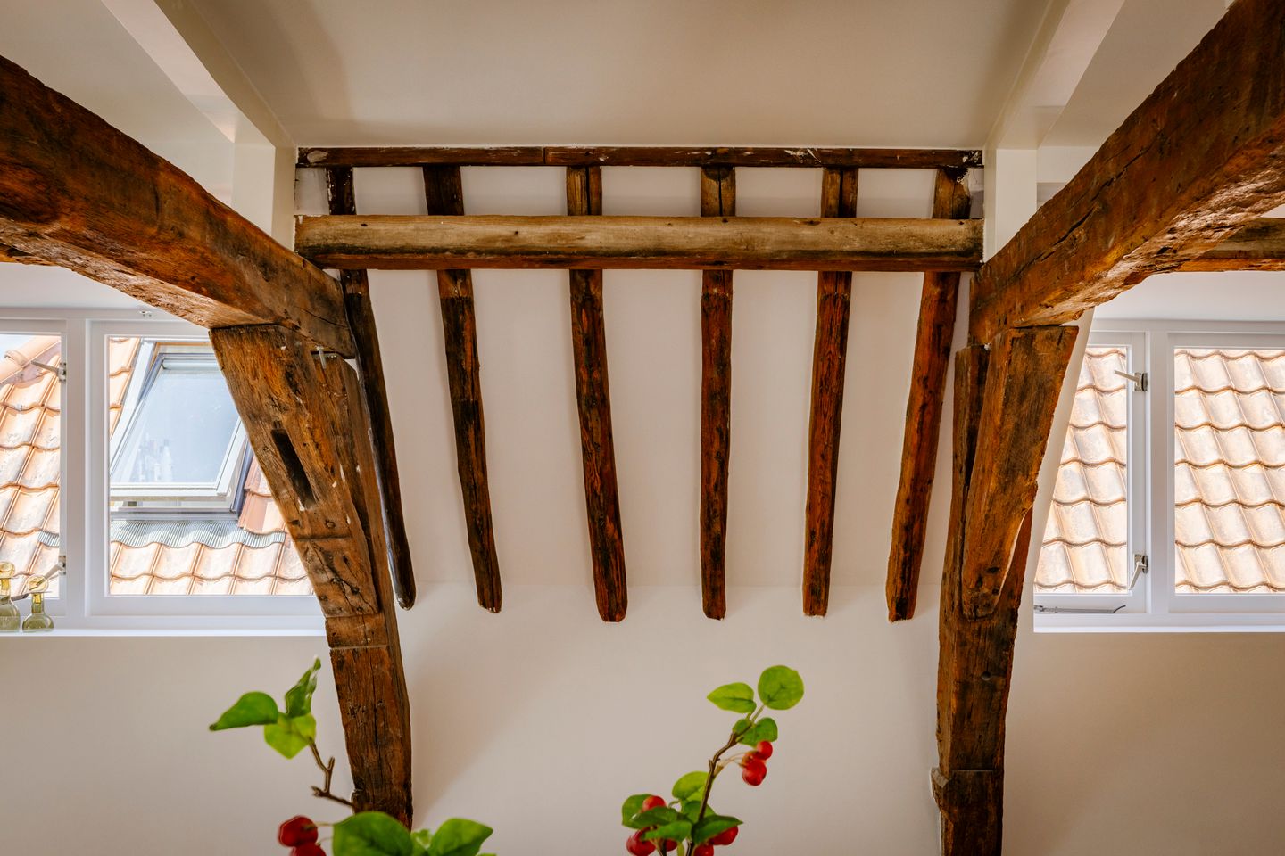 Photo 14 of Spaarne 10-B