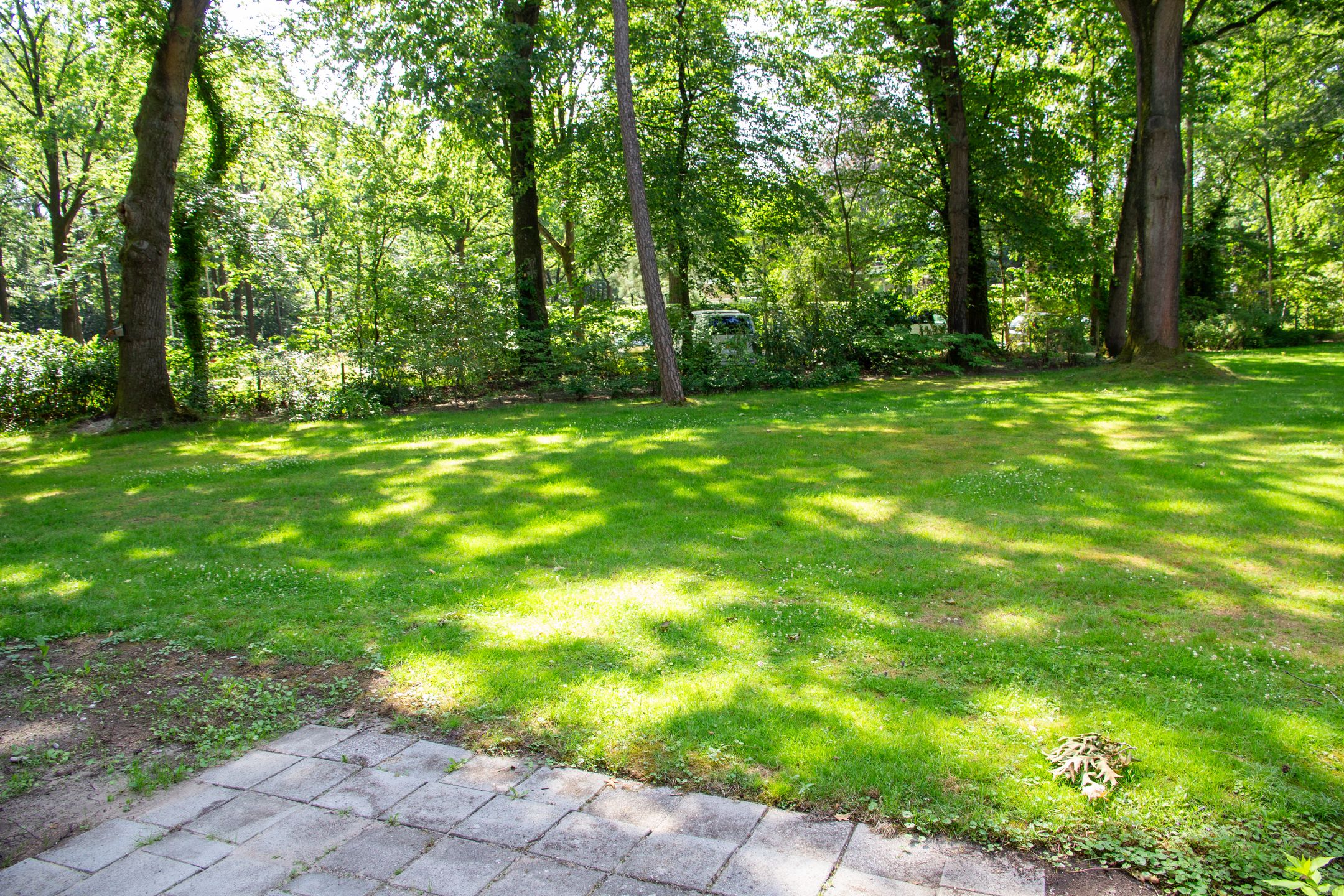 Photo 18 of Park Rodichem 15