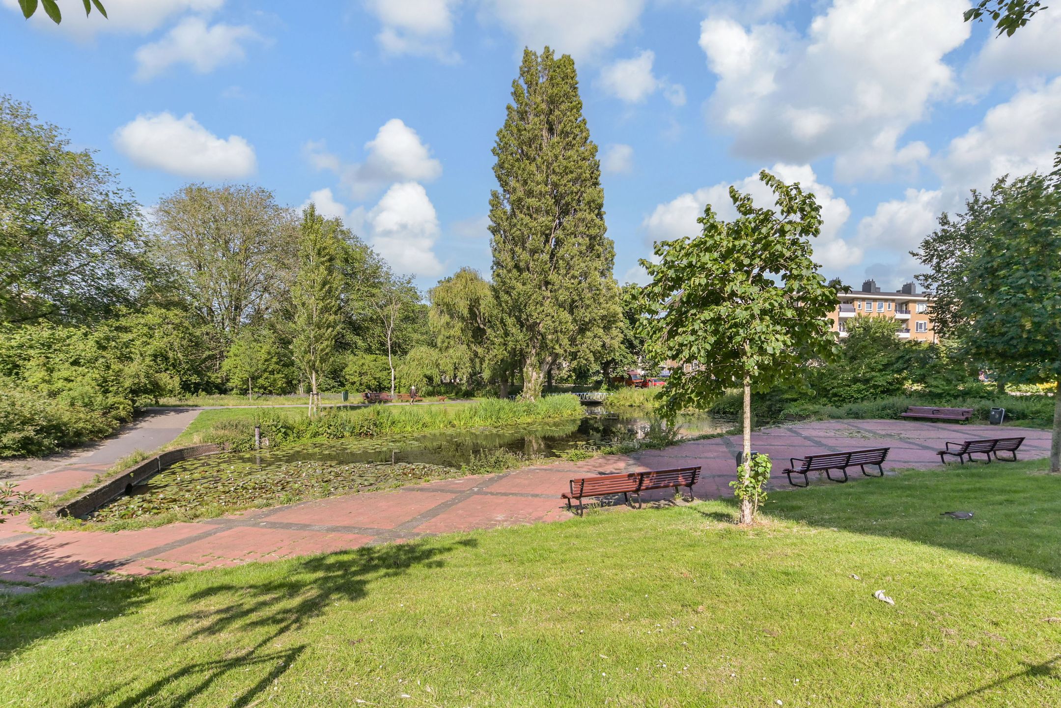 Photo 42 of Stadhoudersplantsoen 246