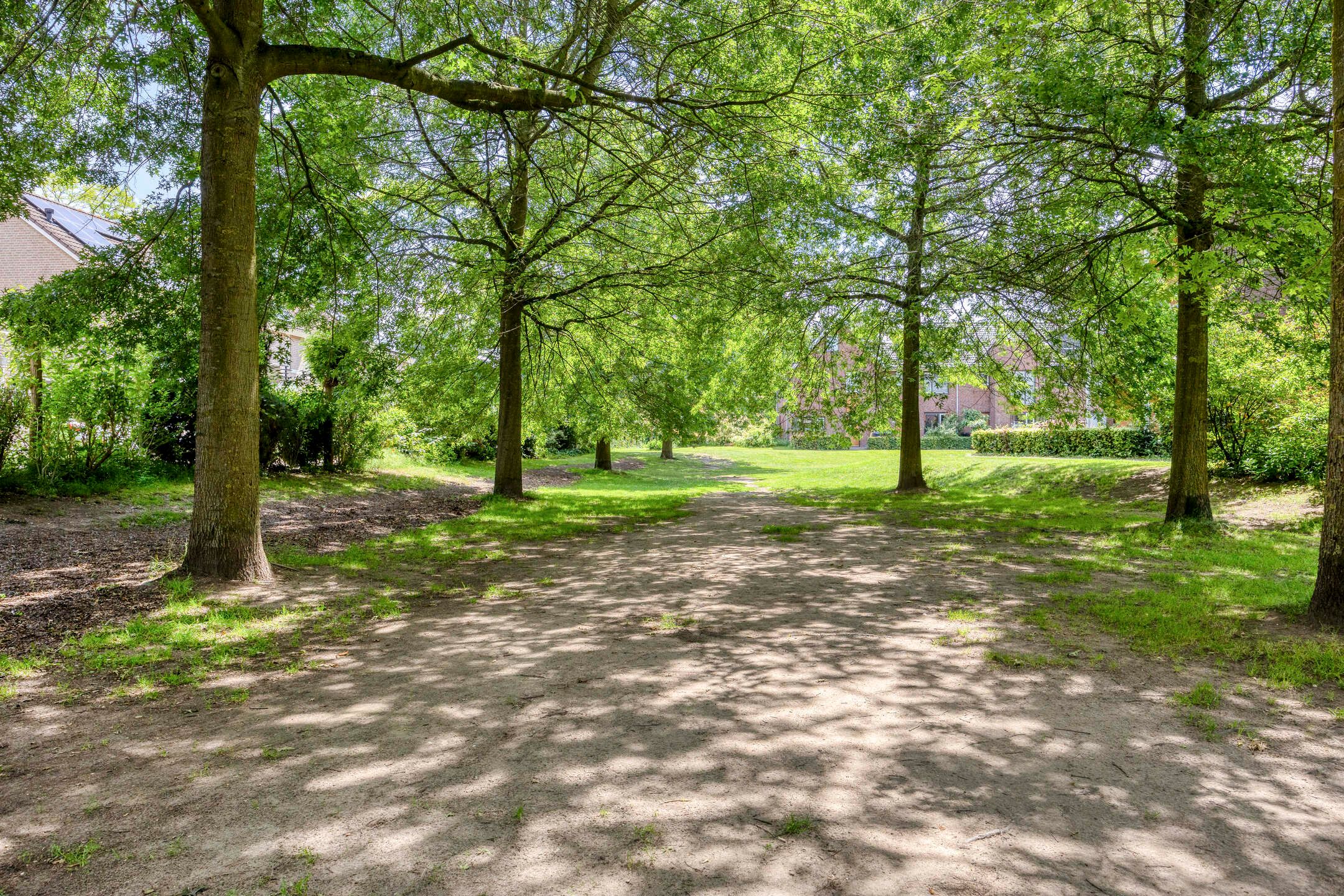 Foto 42 van Jan Brinkhoffplantsoen 22