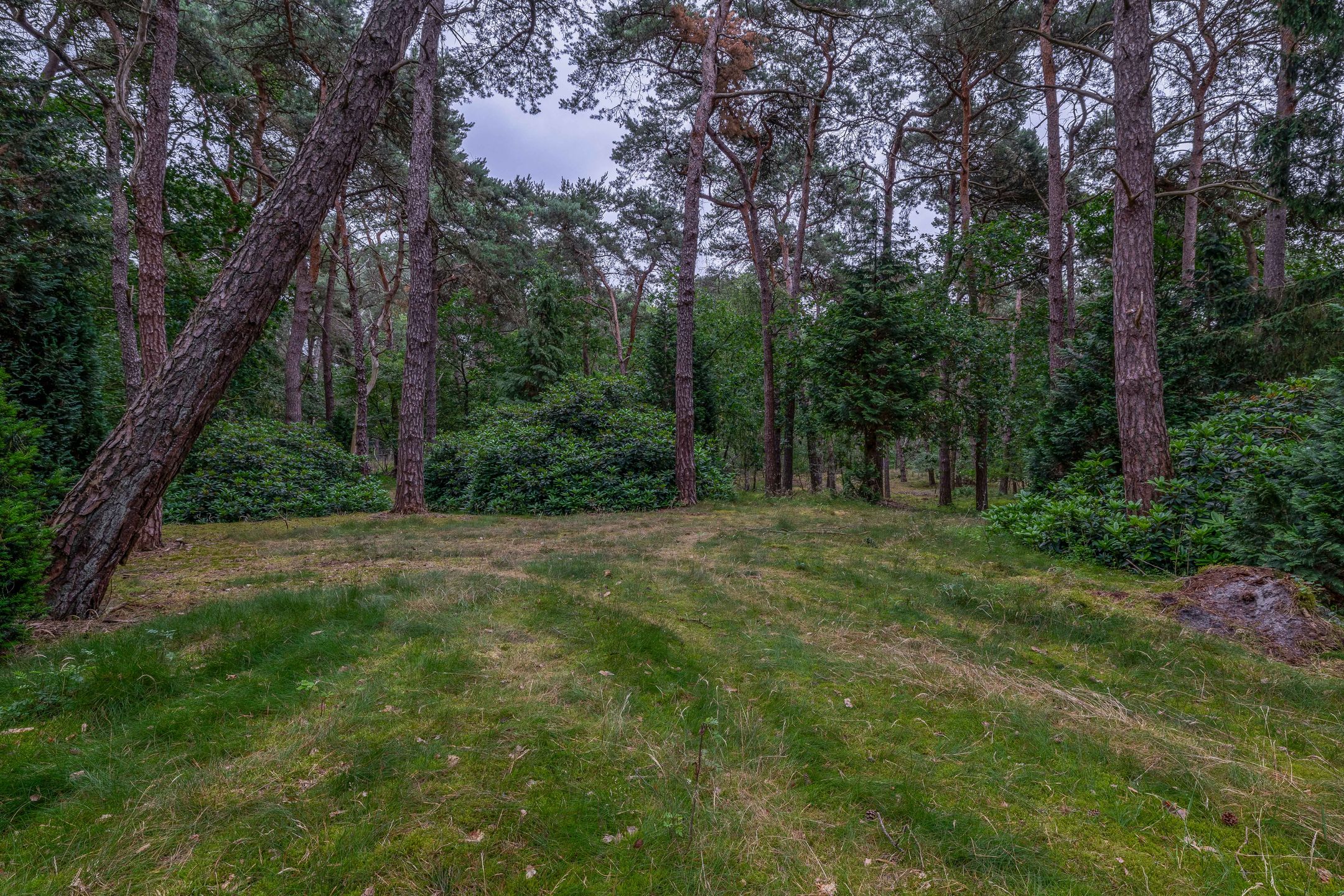 Photo 45 of Rullen 4