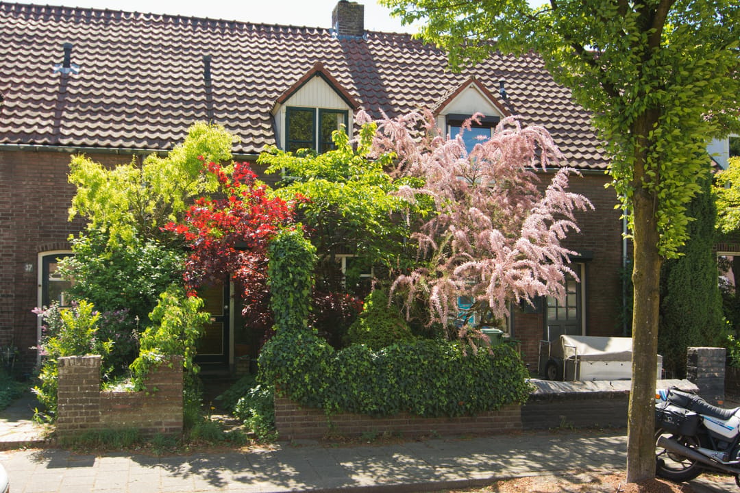 Foto 1 van Zichtstraat 39