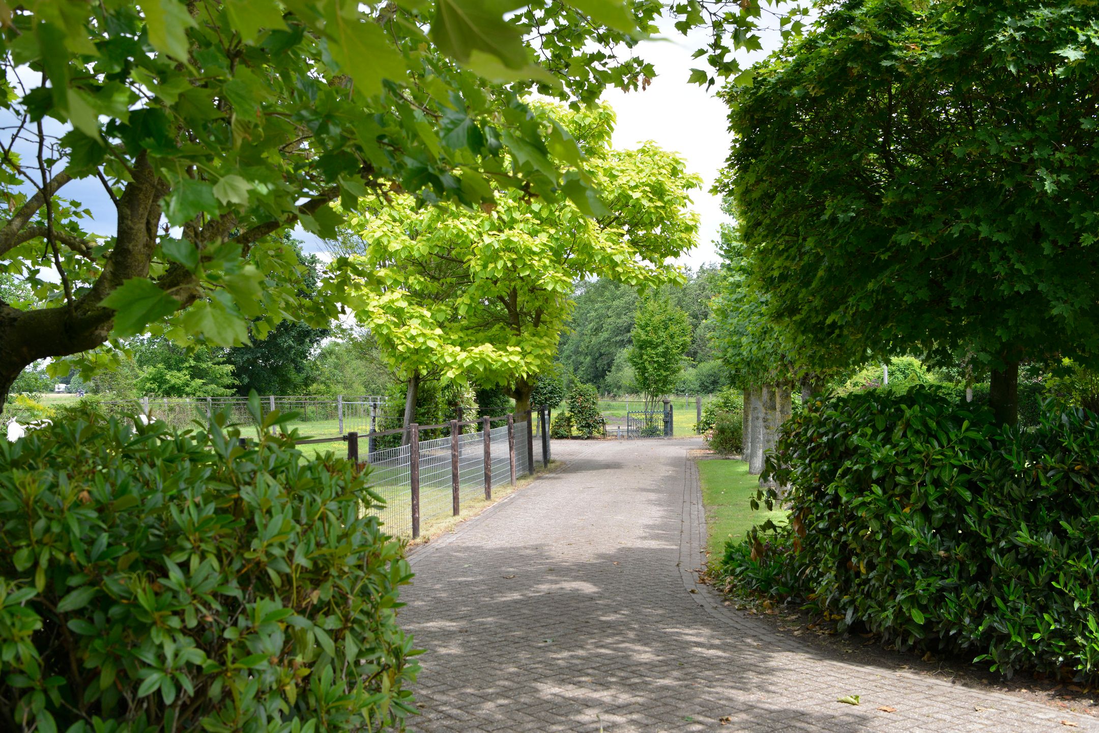 Photo 39 of Vossenweg 1-B
