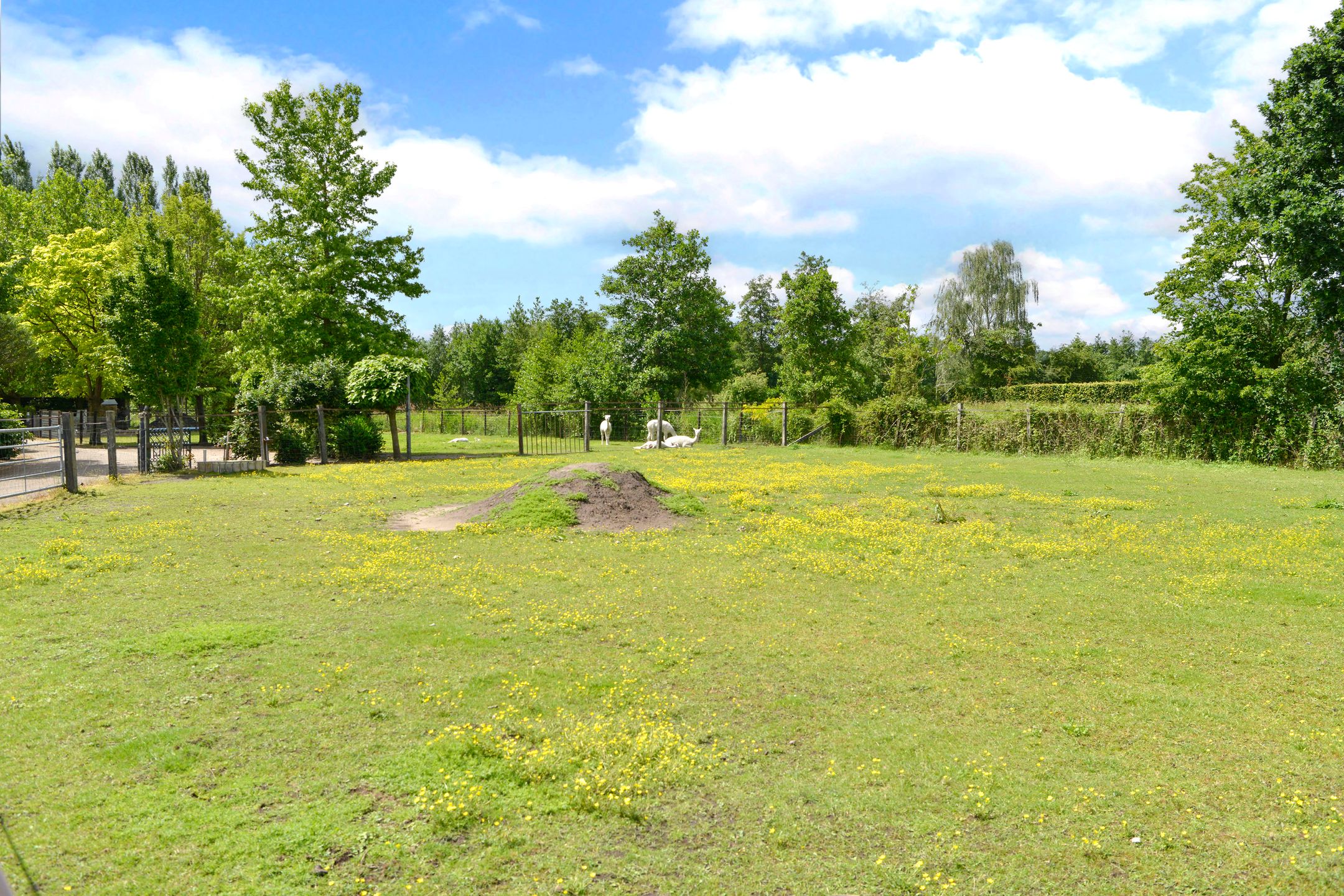 Photo 36 of Vossenweg 1-B