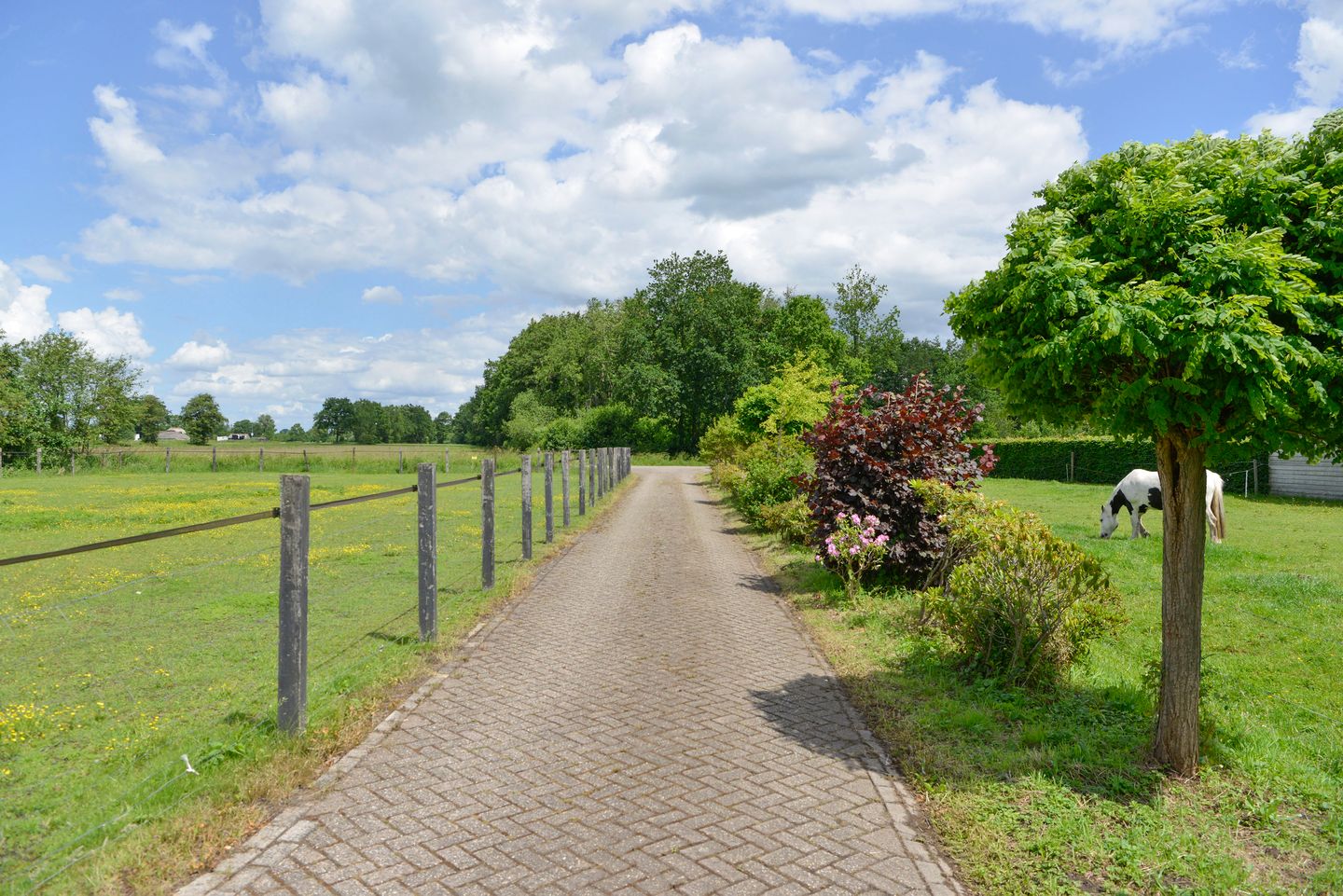 Photo 40 of Vossenweg 1-B