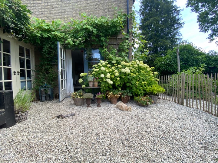 Foto 5 van Laan van het Kwekebos 286
