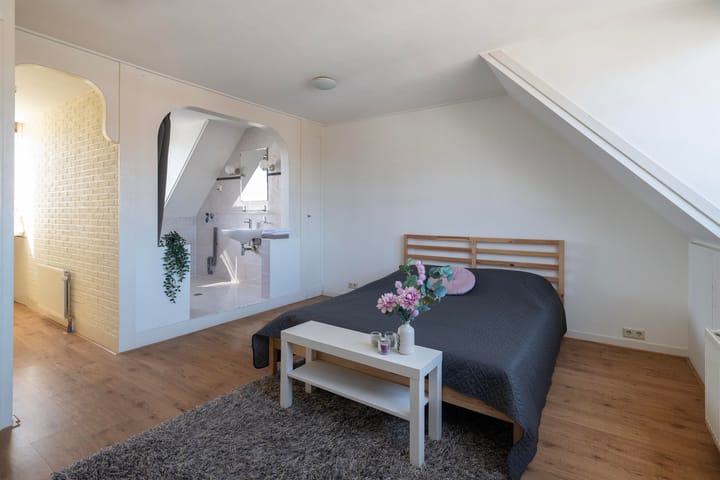 Foto 4 van Graaf Jan van Nassaustraat 15-D